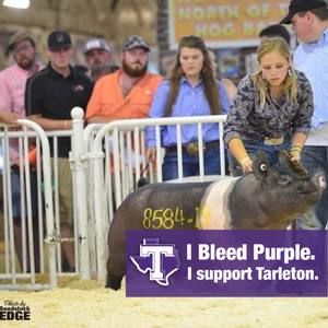 Meet your Posher, Madison